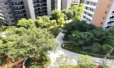 SKY DUO PARK VILLAGE T棟 18階の展望|敷地内の緑を望む眺望です。