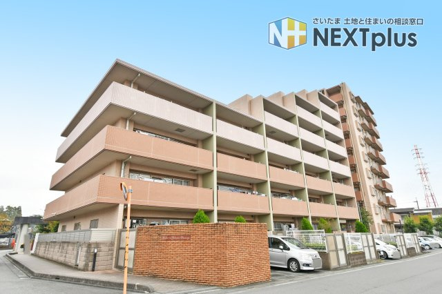 ビクトリアアネーロ大宮