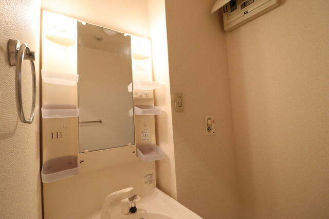 グレース青戸の洗面所