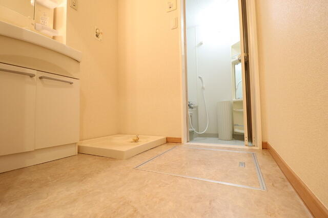 グレース青戸の洗面所