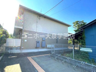 カメリア並木の画像