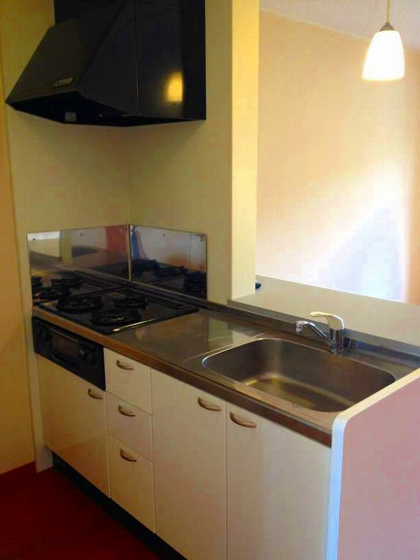 レオパレスケリュスBのキッチン|画像4