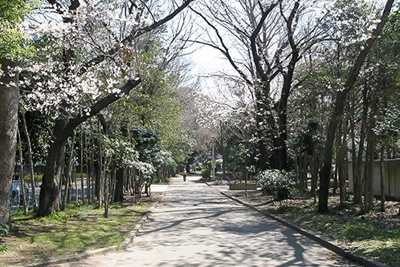 【周辺】 | 板橋区板橋4丁目　建築条件なし売地　7580万円 | 北区中央公園