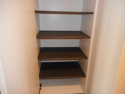 川崎市多摩区宿河原５丁目の賃貸マンションの収納
