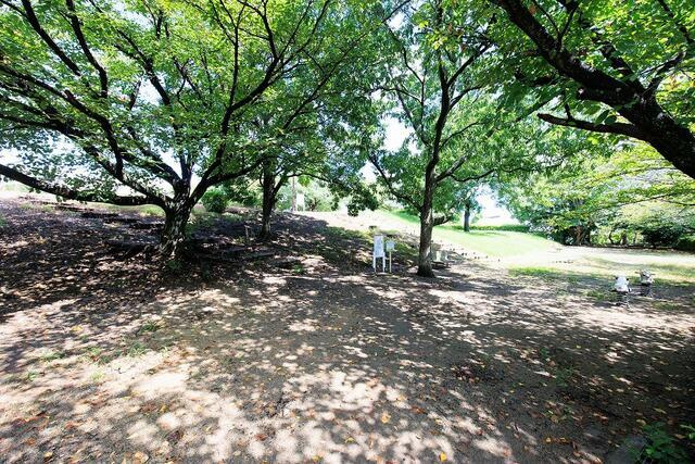 サンコート　久留米市東櫛原町の周辺|薫公園まで320m 