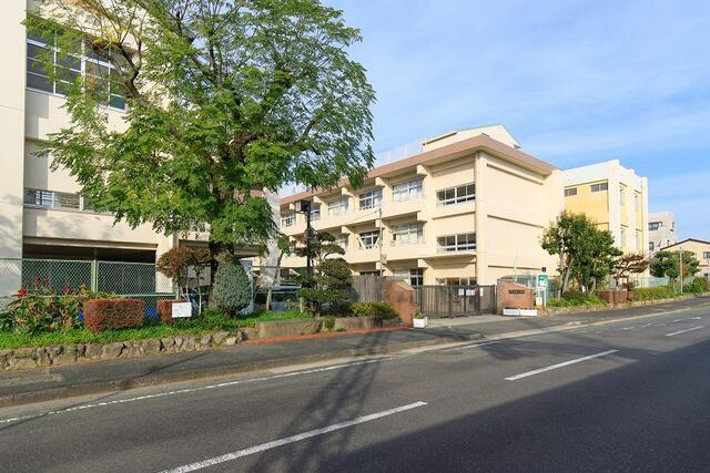 サンコート　久留米市東櫛原町の周辺|南薫小学校まで720m 