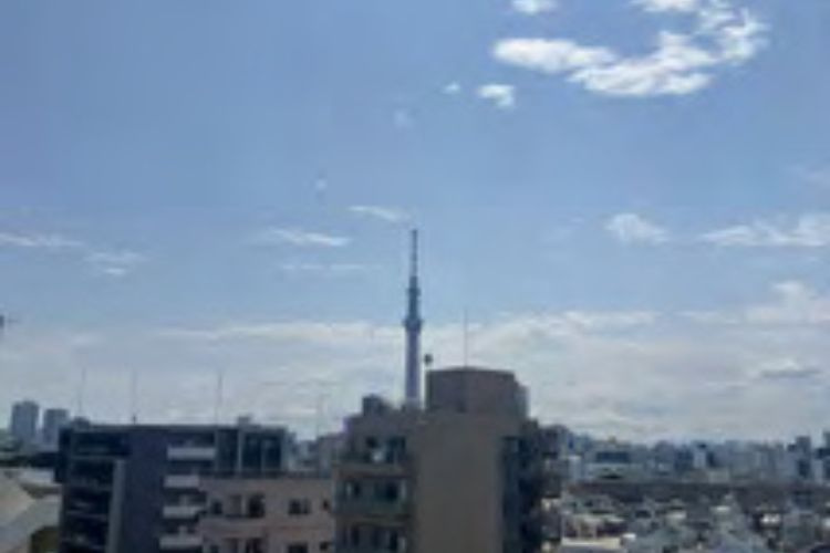 ダイアパレス墨田の展望