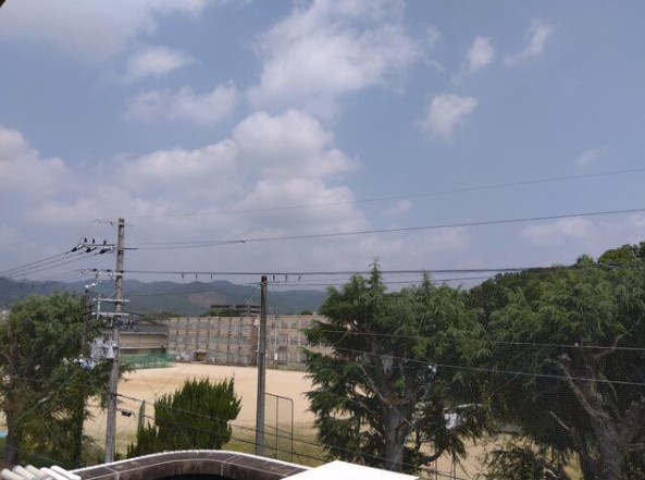 【展望】 | K12034-紫竹