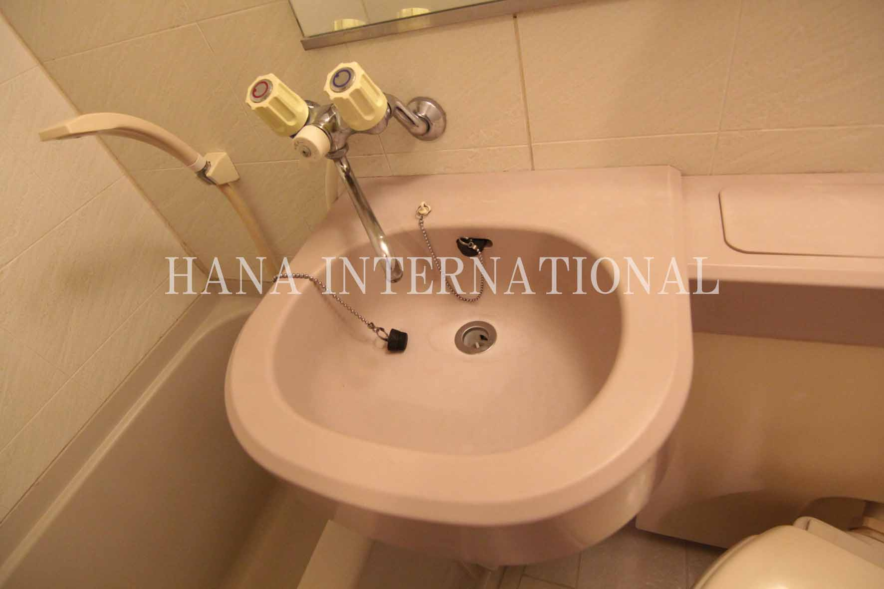 エスケーガーデン　A-060の洗面所|別部屋写真参照