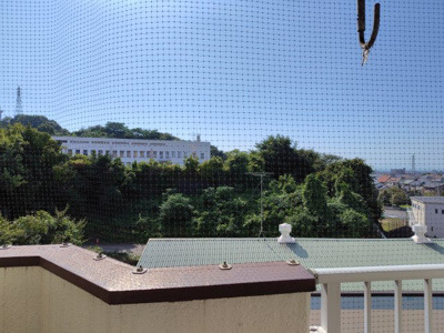 【展望】 | セントラル・コーポ