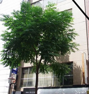 【外観】 | 小原3ビル | 小原3ビル　外観