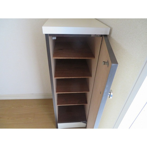 エスイーシー玉川ハイツの玄関|シューズボックス