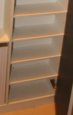 【収納】 | グランコンフォール東墨田 | シューズボックス☆