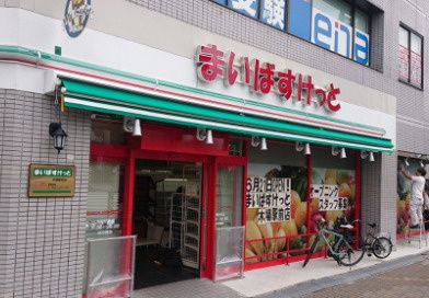 【周辺】 | CASA SALUTE TOYOCHO（カーササルーテ東陽町）