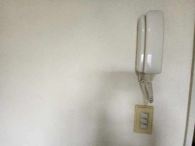 レオパレス岡崎公園のその他|インターホン