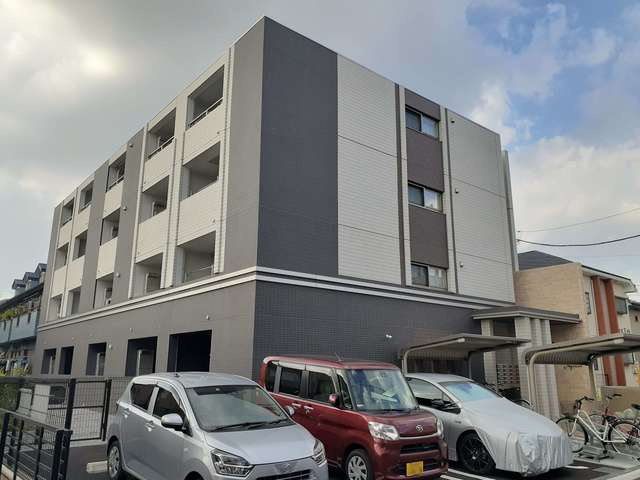 Apricot（アプリコット）の外観