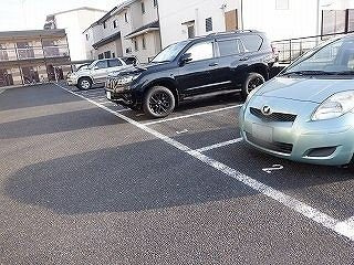 レオパレスピソのその他