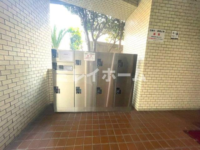 山王ハマセイホウのその他