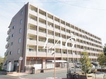 オリーブ　コート塚田の画像