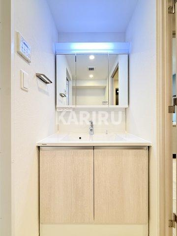 スプランディッド玉造DUEの洗面所