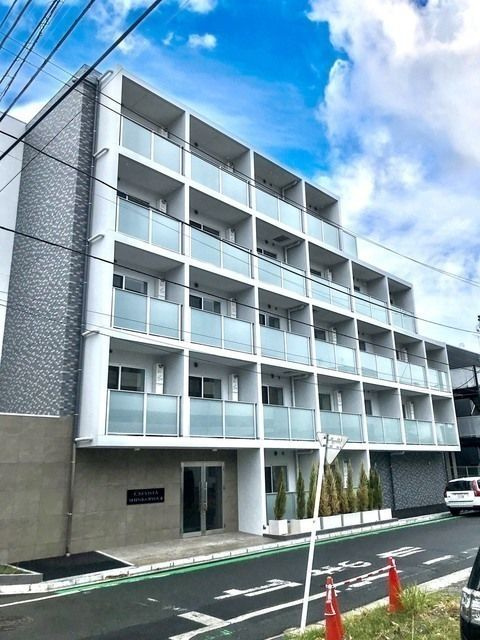 マキシブシンコイワ