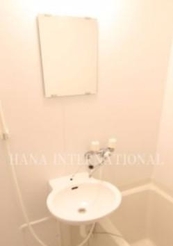 レオパレスアミティエの洗面所