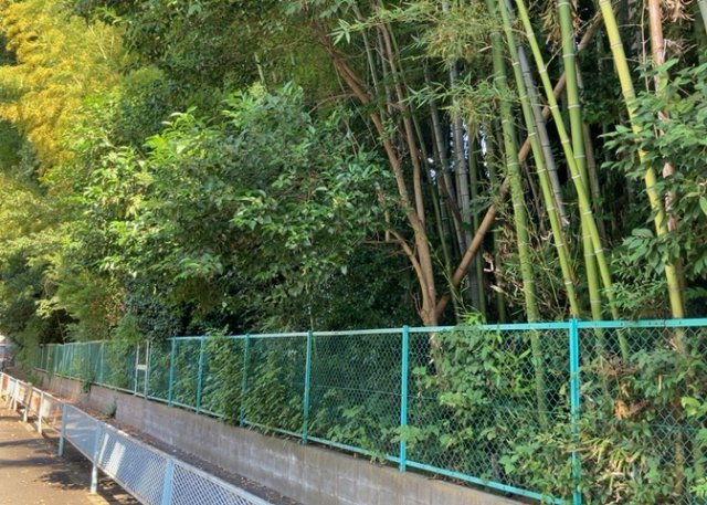 【展望】 | 土地の地勢が高台の場合、景色を綺麗にみることができ、景色にこだわってお家探ししている方におすすめです！また平坦地よりも風通しがいいというメリットがあります。デメリットもあるので是非現地でご確認下さい。