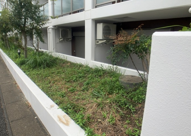 【庭】 | ライジングプレイス八王子みなみ野 | 庭があることでガーデニングや家庭菜園はもちろん、こどもの遊び場やペットを放して遊ぶことができます。また、家の周囲に余裕があるということです。隣地との間があれば、十分な日当たりと、風通しが確保できます。