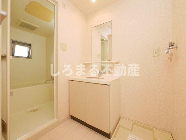 ウィルテラスなんば南の洗面所