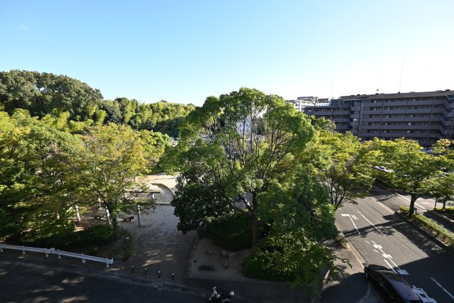 ジオ緑地公園一番館の展望|部屋からの眺望はすぐそばの公園の植栽が広がっており緑豊かな環境となっています。