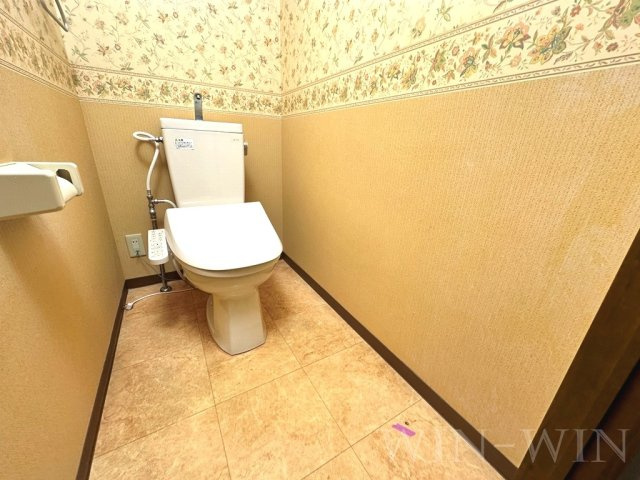 ピエール・ノーヴァのトイレ