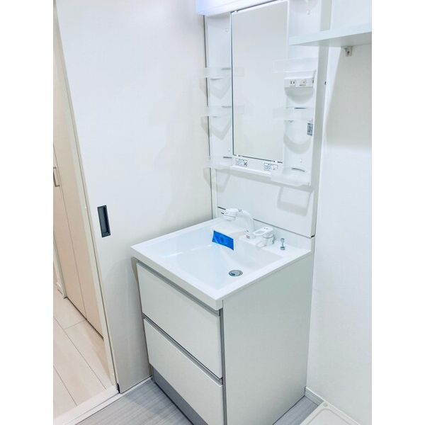 メゾン シュシュの洗面所