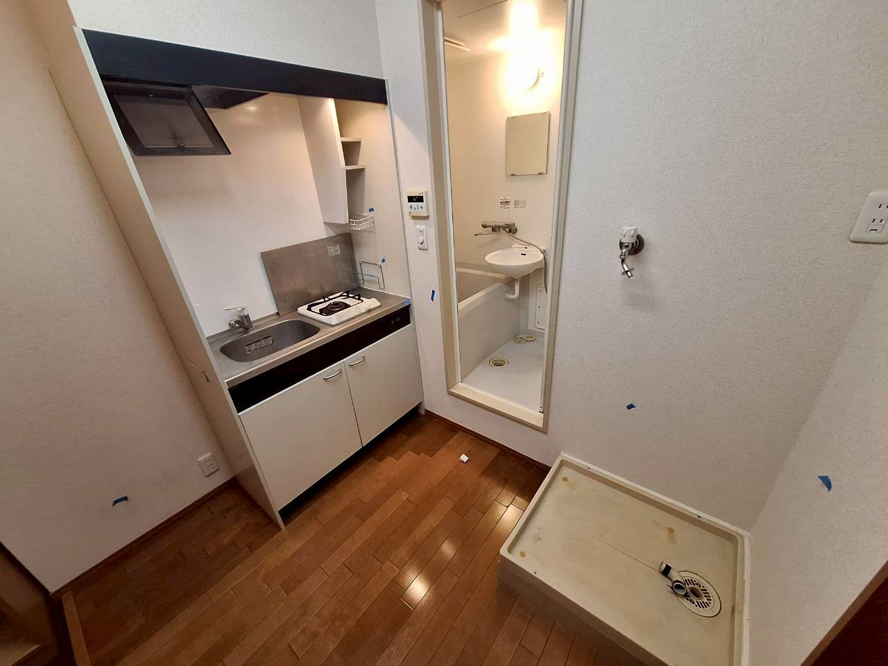 ビオトープのその他