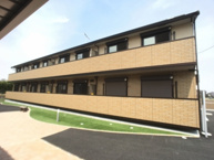 ヴェネレ/イルソーレ　イルソーレの画像