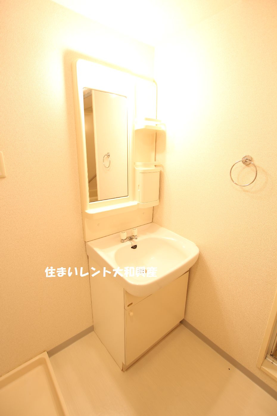 グローリーヒルズ２の洗面所