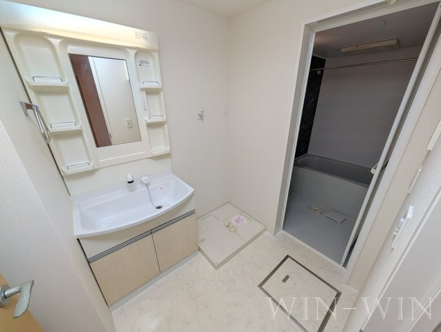 パシフィックパレス向山の洗面所