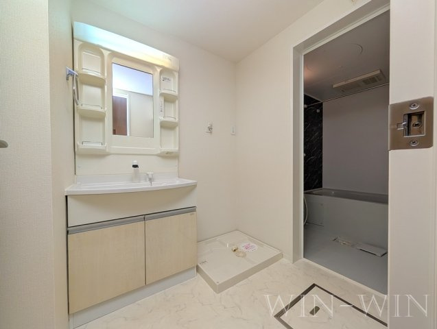 パシフィックパレス向山の洗面所