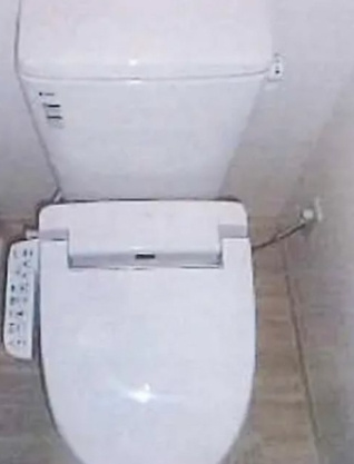 ハミングバードのその他