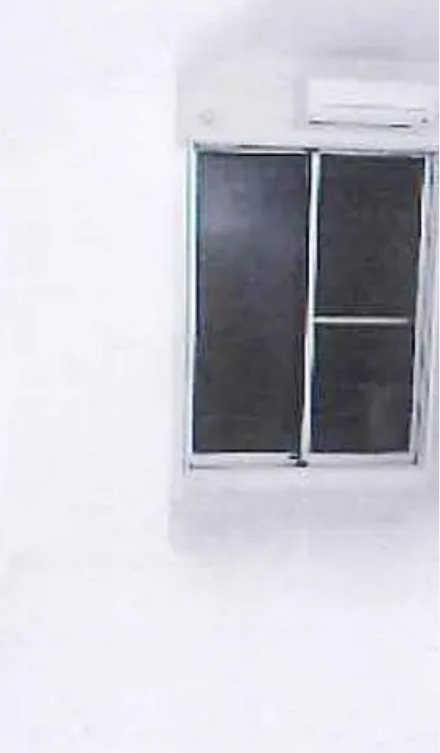 ハミングバードの居間・リビング