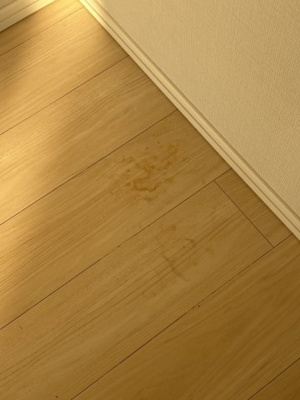  | シティテラス国立