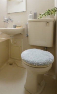 【トイレ】 | ライオンズマンション上池台第2 | 家具小物はイメージです