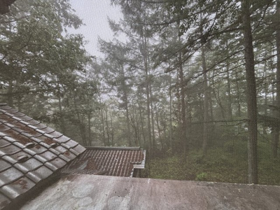 【庭】 | 軽井沢・中古戸建て