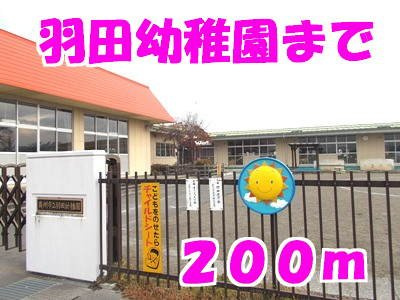ビッグ　シャトーＥの周辺|羽田幼稚園まで200m