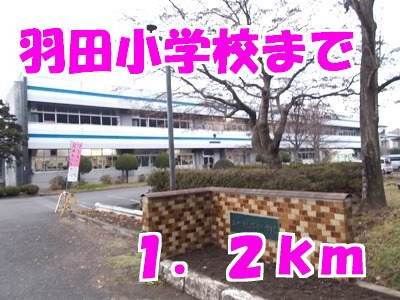 ビッグ　シャトーＥの周辺|羽田小学校まで1200m