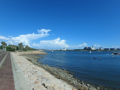 【展望】 | 芦屋ハイタウン