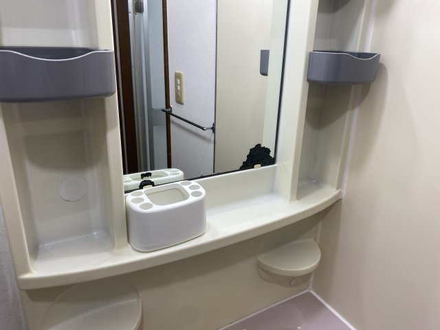 ヴェルドミール真地の洗面所