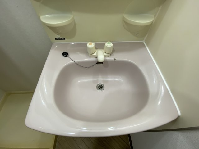 ヴェルドミール真地の洗面所