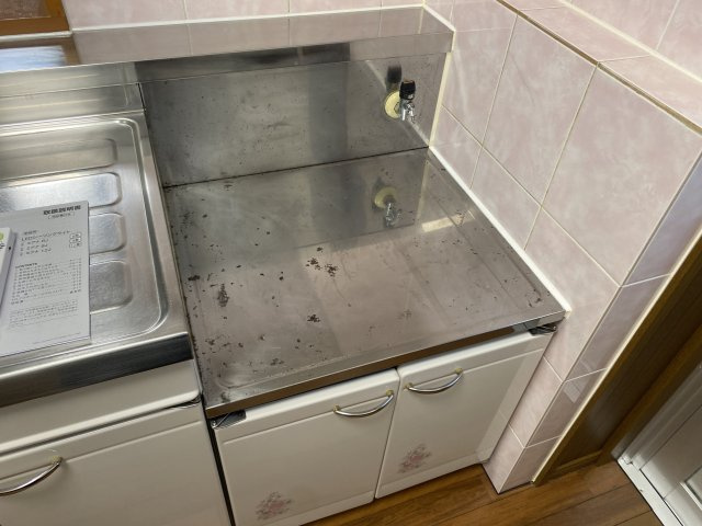 ヴェルドミール真地のその他