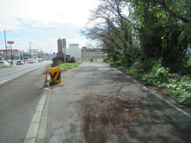 津山市川崎　売土地410坪の外観