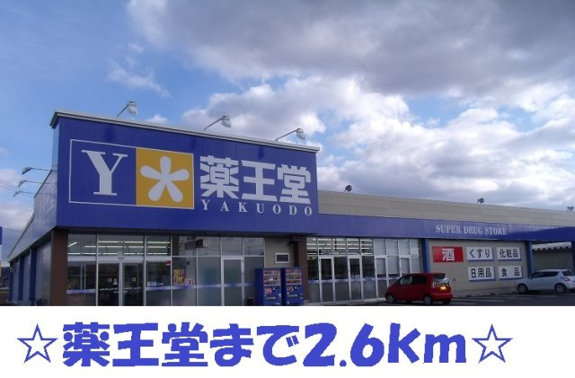 カーサ　グランデⅢの周辺|薬王堂まで2600m